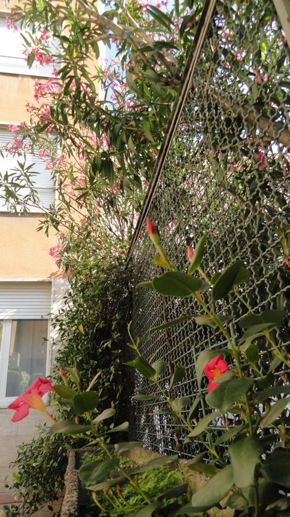 Residence Giusti 6 Mailand Exterior foto